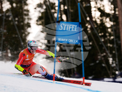 United States World Cup Giant Slalom Skiing