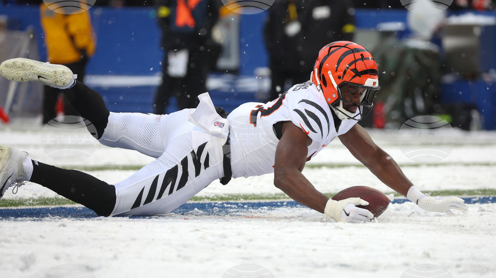 Bengals Bills Football