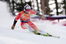 United States World Cup Giant Slalom Skiing