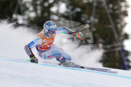 United States World Cup Giant Slalom Skiing