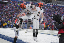 Bengals Bills Football