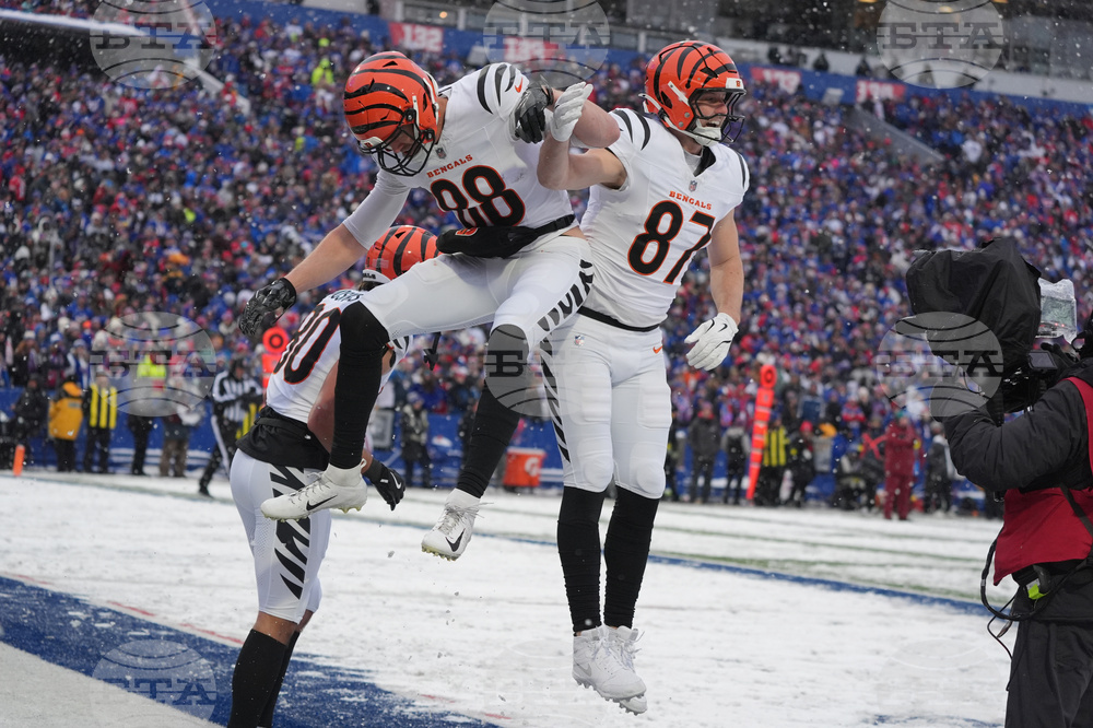 Bengals Bills Football