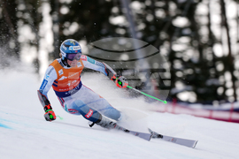 United States World Cup Giant Slalom Skiing