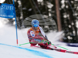 United States World Cup Giant Slalom Skiing