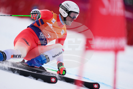 United States World Cup Giant Slalom Skiing