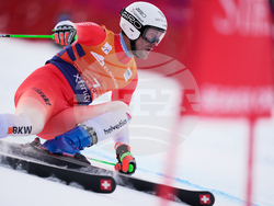 United States World Cup Giant Slalom Skiing