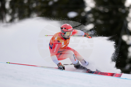 United States World Cup Giant Slalom Skiing