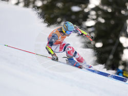 United States World Cup Giant Slalom Skiing