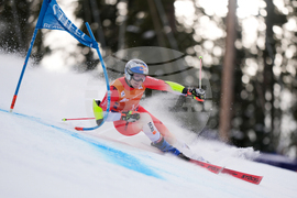 United States World Cup Giant Slalom Skiing