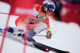 United States World Cup Giant Slalom Skiing