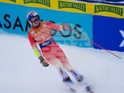 United States World Cup Giant Slalom Skiing