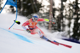 United States World Cup Giant Slalom Skiing