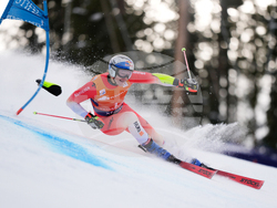 United States World Cup Giant Slalom Skiing