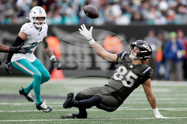 Dolphins Jets Football