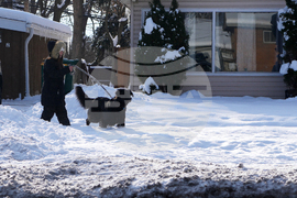 Extreme Winter Weather Illinois