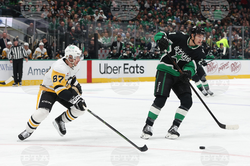 Penguins Stars Hockey