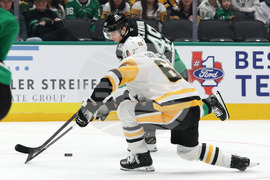 Penguins Stars Hockey