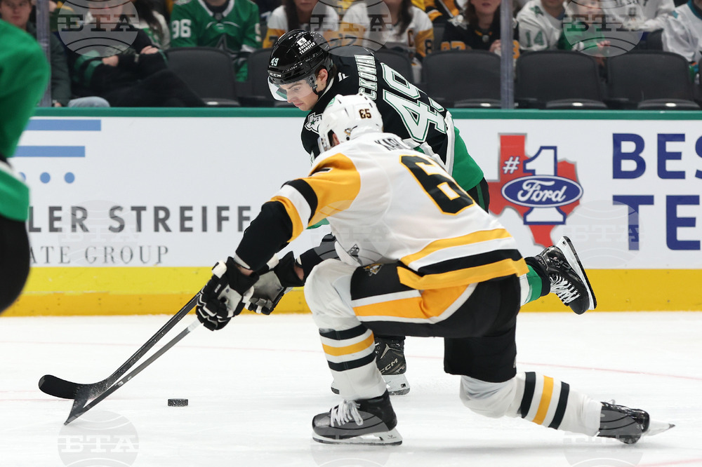 Penguins Stars Hockey