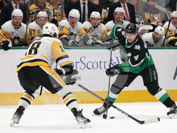 Penguins Stars Hockey