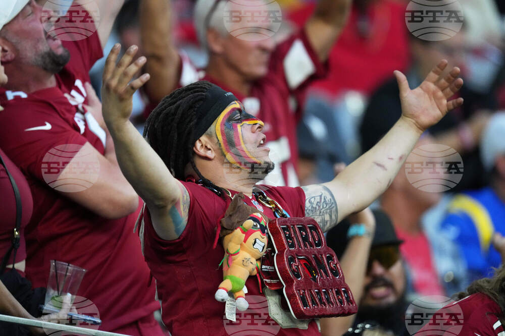 Rams Cardinals Football