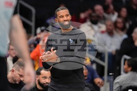 Nuggets Hornets Basketball