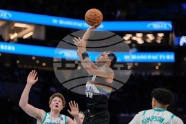 Nuggets Hornets Basketball