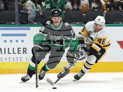 Penguins Stars Hockey