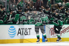 Penguins Stars Hockey