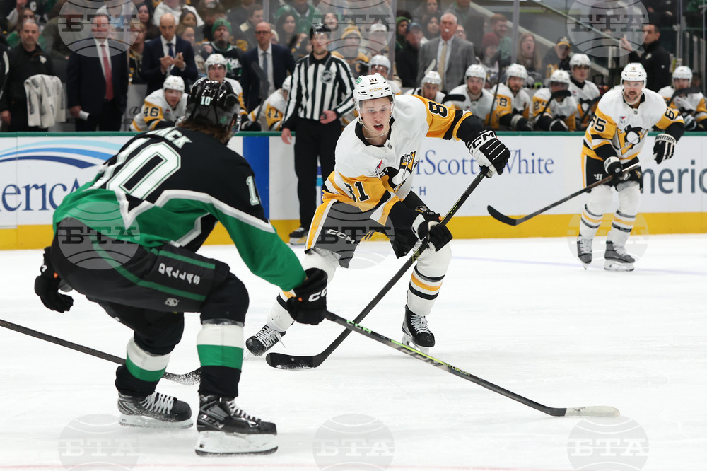 Penguins Stars Hockey