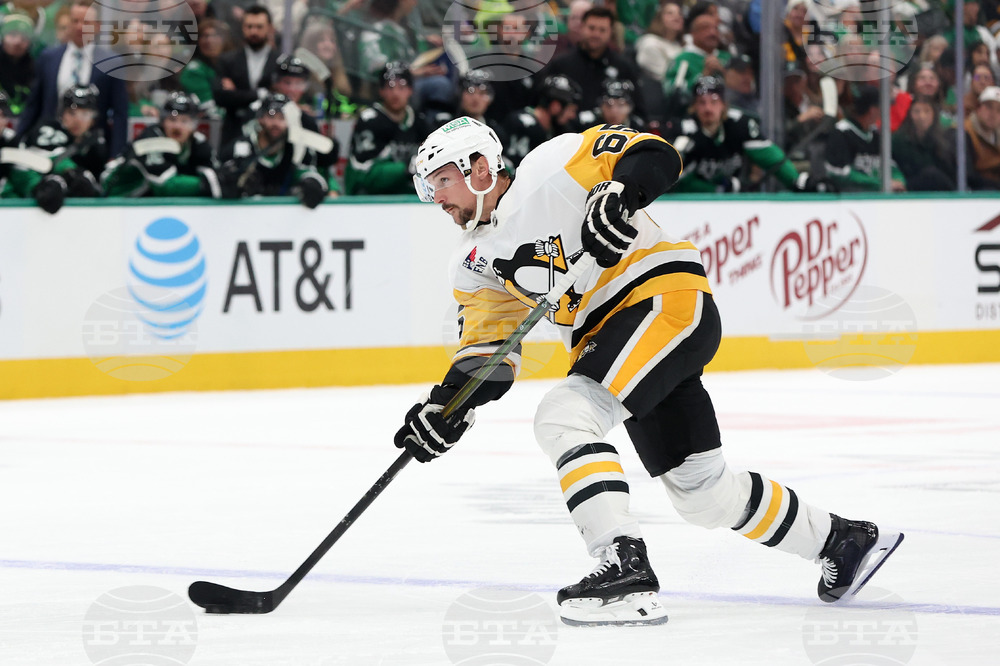 Penguins Stars Hockey