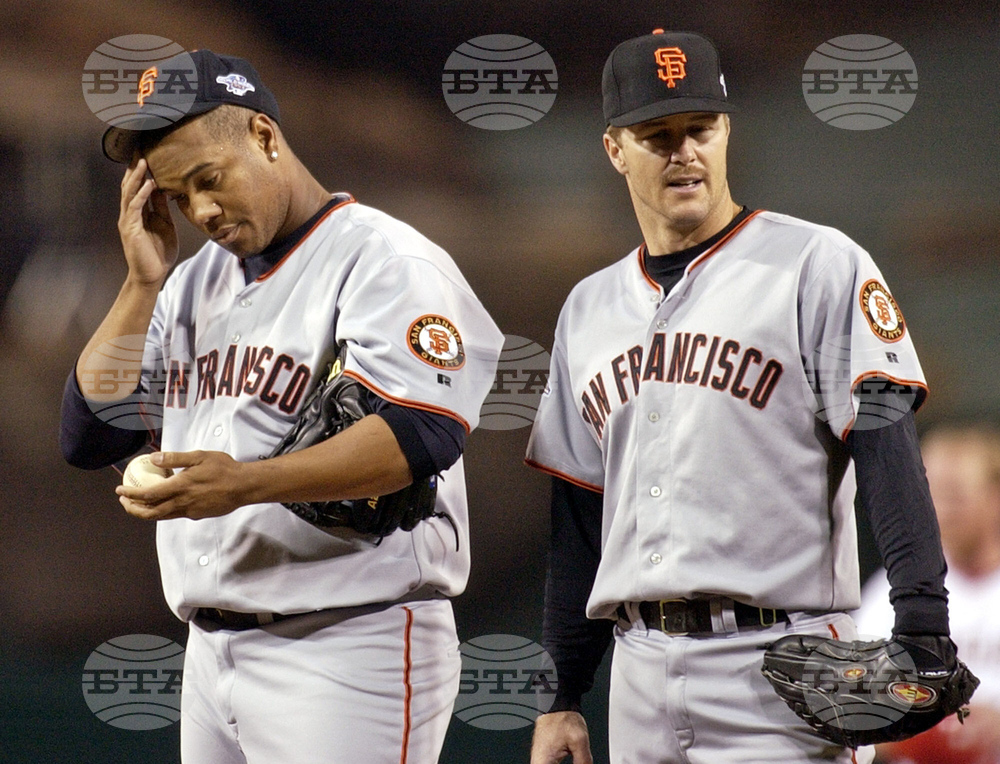 Hall of Fame Baseball