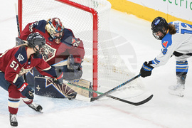 PWHL Sceptres Victoire Hockey