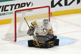 Penguins Stars Hockey