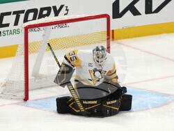 Penguins Stars Hockey