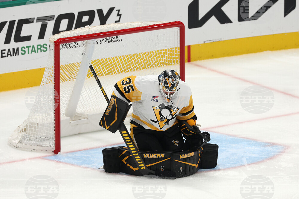 Penguins Stars Hockey