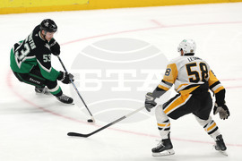 Penguins Stars Hockey