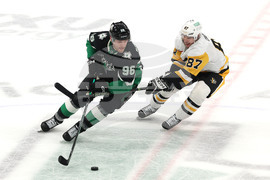 Penguins Stars Hockey