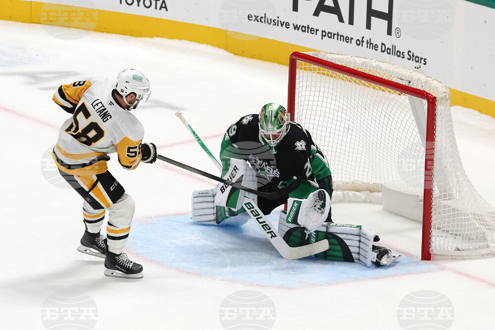 Penguins Stars Hockey