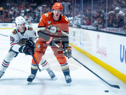 Blackhawks Ducks Hockey