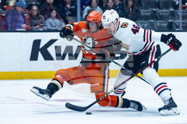 Blackhawks Ducks Hockey