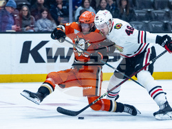 Blackhawks Ducks Hockey