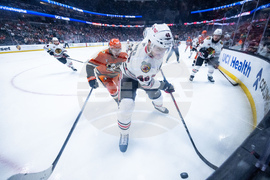 Blackhawks Ducks Hockey