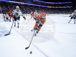 Blackhawks Ducks Hockey
