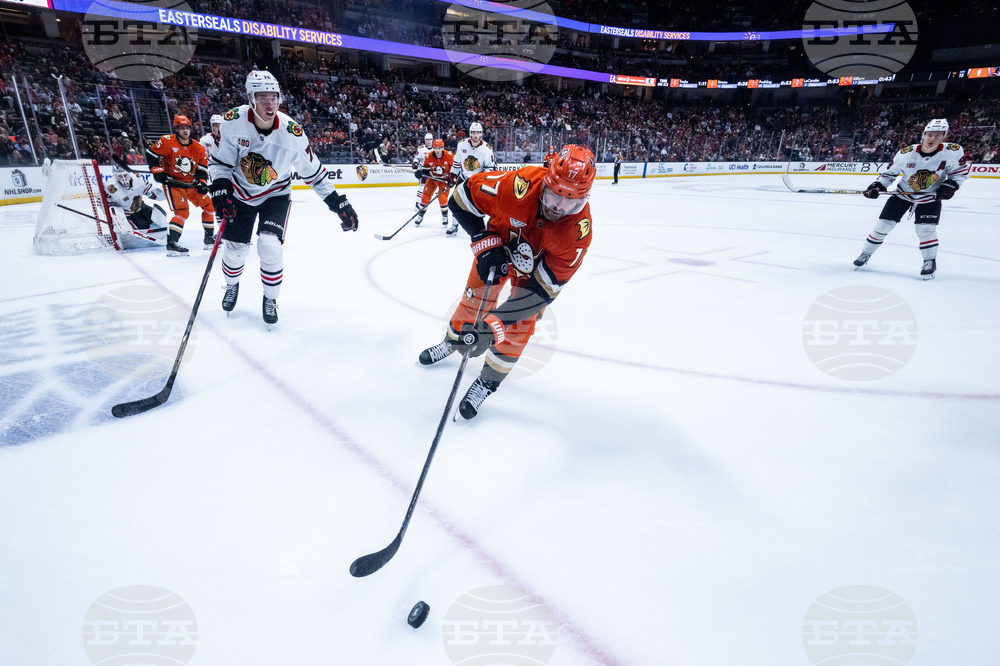 Blackhawks Ducks Hockey