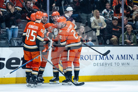 Blackhawks Ducks Hockey