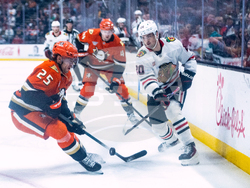 Blackhawks Ducks Hockey