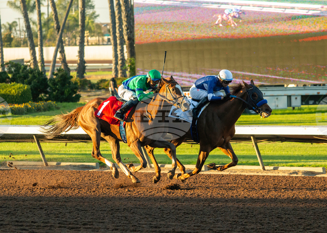 Los Alamitos Horse Racing