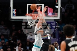 Nuggets Hornets Basketball