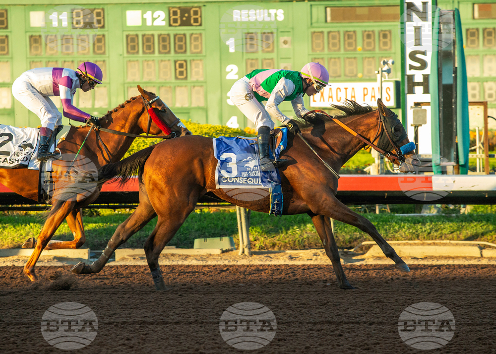 Los Alamitos Horse Racing