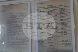 Румъния - Търговище - музей - изложба